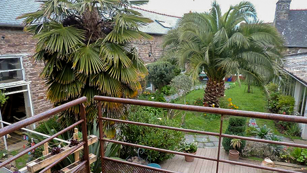 La vue de la terrasse