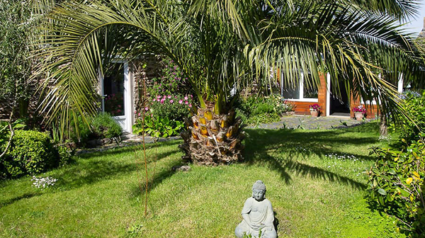 Le jardin